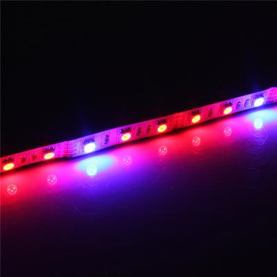 China red and blue 12w led strip grow light 60leds/m dc12v led indoor grow light for Green House for sale