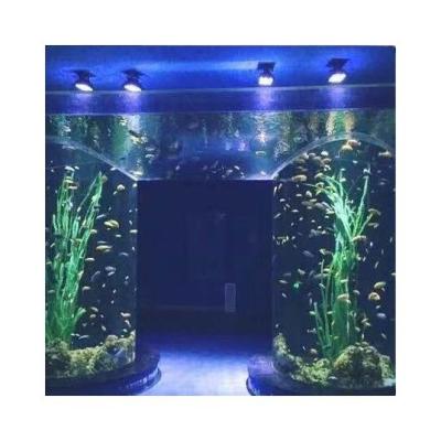 China Viable Good Prices Irregular Clear Acrylic Wall Fish Tank , Acrylic Fish Tank Price for sale