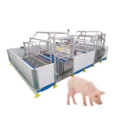 China Easy Install 2021 Supply High Quality Galvanized Hog Nursery Pens Crate Pig Farrowing Cage for sale