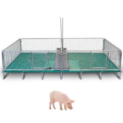 China Easy Install Purchase Pig Nursery Crate House Nursery Stall Pig Crate House for sale