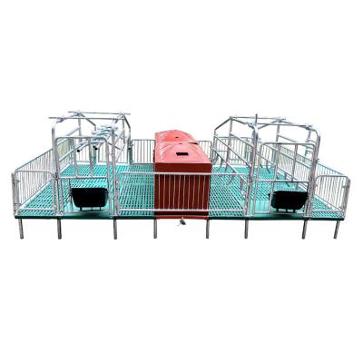 China Easy management hot dip galvanizing high quality sows soil sow crate sow crate farrowing pig for sale