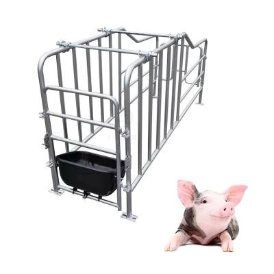 China Fatten Pig Galvanizing Animal Sow Placing Bar Gestation Crate Sow Crate Pig Crates For Sale Philippines for sale