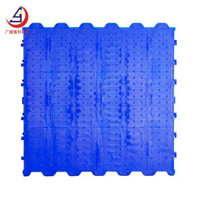 China 2021 Easily Collected Plastic Slat Pig Flooring 60*60cm Pig Farming Plastic Slat Flooring for sale