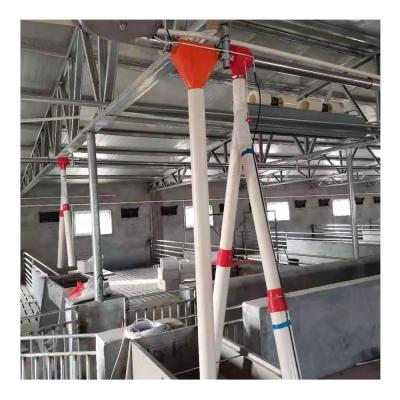 China Backup Breeding Cost Grain Storage Silo High Quality Grain Silo For Poultry Farm Feeding System for sale