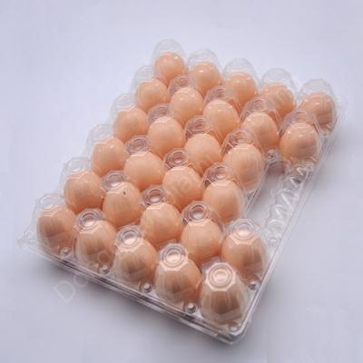 China Disposable Egg Tray Packaging Hot Sale Plastic Carton For 28 Holes With Handle Blister Box for sale