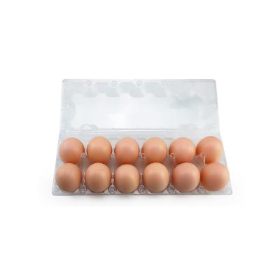 China Environmental Protection 12 Holes Transparent PET Cardboard Blister Chicken Egg Packaging Tray Plastic Egg Box for sale