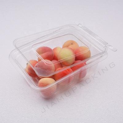 China New Arrival Recyclable Clear Rectangular Plastic Salad Box Fruit Food Dongguan Jiamu Rectangle Customized Size Packing 0.5mm Accept JMEA005 for sale