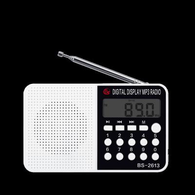 China PORTABLE Built-in Speaker Pocket Customized Fm AM China Radio Fm Speaker for sale