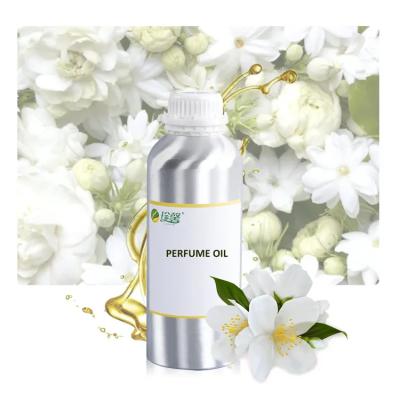 China Muestras gratuitas Ingredientes naturales Perfume de jazmín Aceite perfumado para hacer perfumes en venta