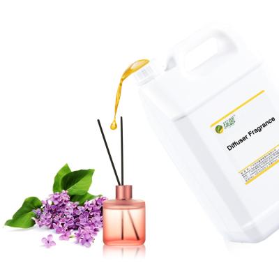 Κίνα Custom Private Label Natural Essential Oil Fragrance Aroma Reed Diffuser προς πώληση