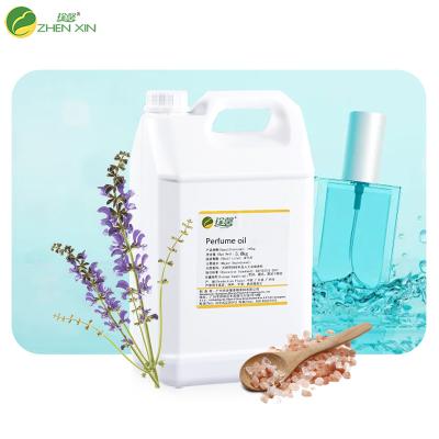 China Sea Wind Fragrance Oil Sea Salt Perfume Oil Factory Supplier For Perfume Making for sale