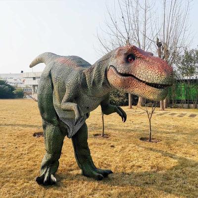 China Realistic Moving Dinosaur Museum Costume Factory Direct Outdoor On Sale for sale