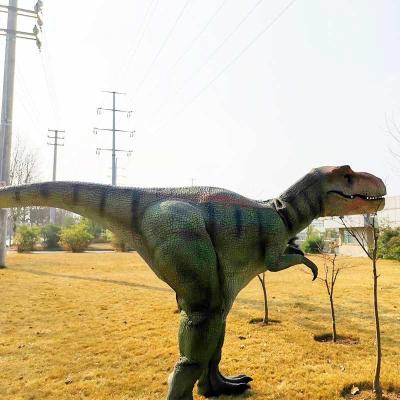 China Real-Height Walking Museum Interactive Dinosaur Costume Props for sale