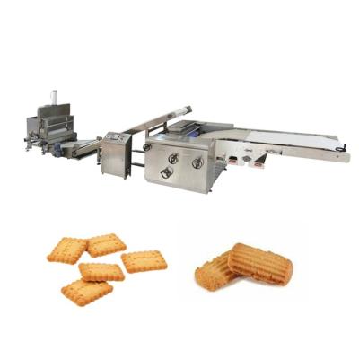 China Canner Factory Skywin Biscuit Soft Mold Rotary Moulder Machine For Soft Biscuit Biscuit Soft Line for sale