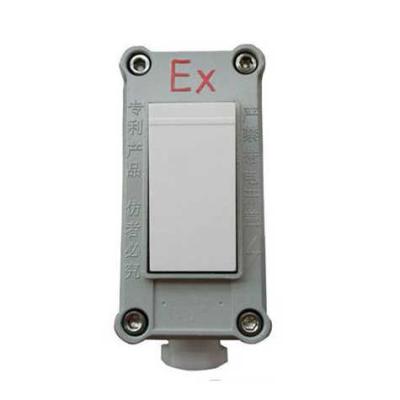 중국 86 Type Explosion Proof Wall Lighting Switch Industrial Aluminum Alloy Box 판매용