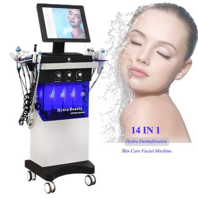 China Effortless 14 In 1 Hydrafacial Machine For Wrinkle Remove And Skin Rejuvenation for sale