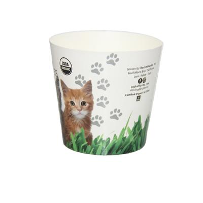 China Disposable household flowerpot paper plant environmental friendly waterproof flowerpot with custom printed logo for sale