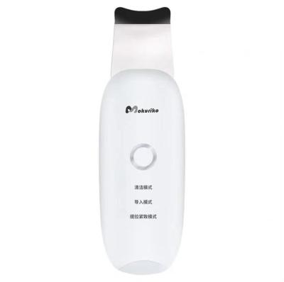 China Multifunction Ultrasonic Skin Scrubber Skin Care Beauty Care DEEP CLEANSING Facial Equipment for sale