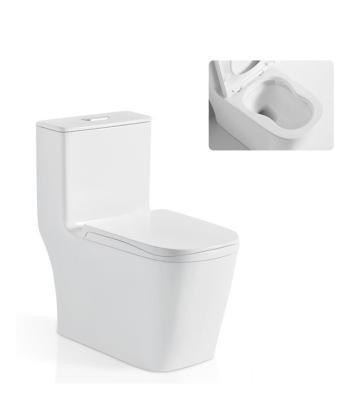 China A-888 Double-Flow Manufacturer Bathroom Toilet Seat Ladder Toilet Price Chian for sale