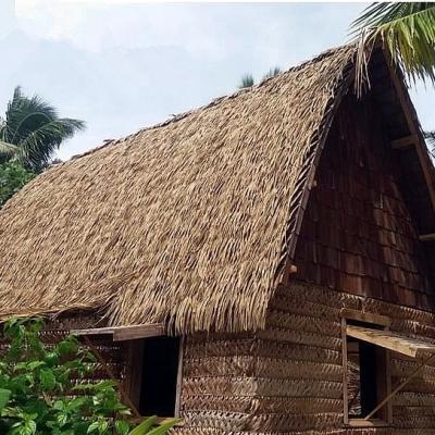 China Eco-Friendly Eco-friendly Artificial Thatch Roofing Te koop