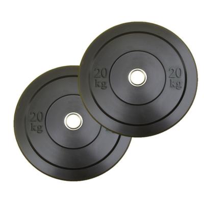 China Bodybuilding Fitness Cast Iron Dumbbells Extra Weight Plates With Steel Insert Bumper Weights Set Free Weight Plates for sale