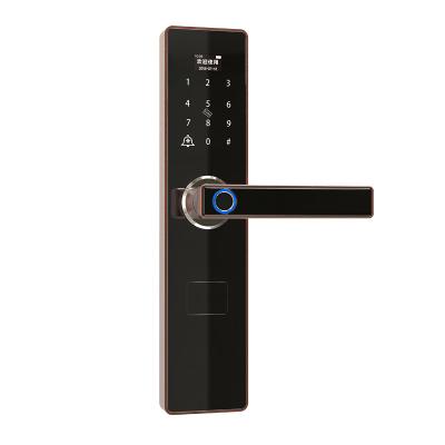 China A6 Remote Biometric Door Lock Fingerprint APP Phone Back and forth Smart Door Lock for sale