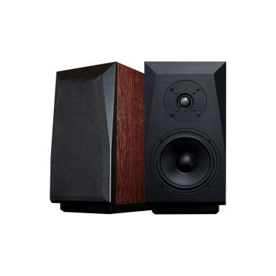 China Mini System Tonewinner Floor Standing Speakers Gaming Speakers Bookshelf Party DJ Karaoke Home Theater System Speakers for sale