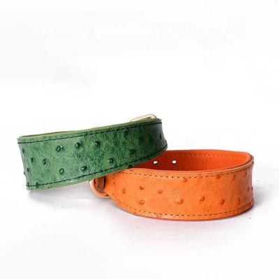 China Luxury Padded Genuine Leather Padded Wholesale Cat Collars Plain Personalized Dog Collar with Metal Buckle for sale