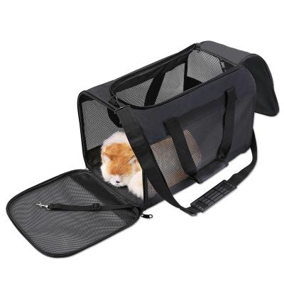 China Viable Capsule Cat Backpack Pet Carrier Dog Carrier Bag Breathable To Increase Camping for sale