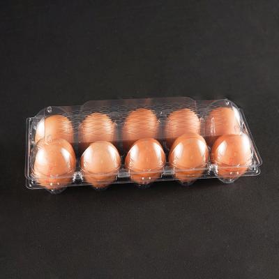 China Eco Friendly Fresh Disposable Food Refrigerator Clamshell Rectangular 10 Pieces PET Plastic Egg Tray for sale