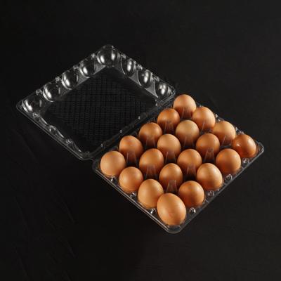 China High Quality Plastic 20 Cell PET Egg Tray Wholesale Disposable Transparent Egg Plastic Packaging With Lid for sale