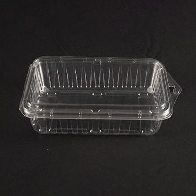 China Food Newcomers PET Disposable Clear Plastic Clamshell Salad Fruit Packaging Container for sale