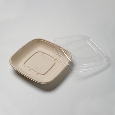 China Disposable Freshness Preservation One Compartments Take Out Containers Plant Fibers Biodegradable Paper Food Containers for sale