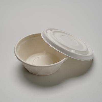 China Freshness Preservation Eco-friendly Biodegradable Microwavable Bagasse Disposable Plastic Rolls Food Packaging Containers for sale