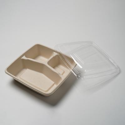 China Takeway Biodegradables 3 Compartments Disposable Food Container Freshness Storage Eco Friendly Food Box Take Out Food Boxes for sale