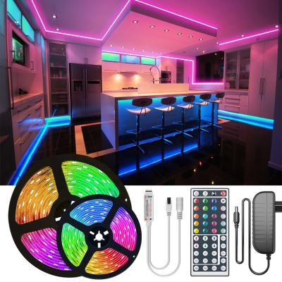 China LANDSCAPE 12/24V IP65 waterproof 60leds/m 5050 RGB SMD strip led strip for sale