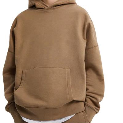 China Anti-pilling men 100% cotton thick heavy fleece blank oversized streetwear custom logo pullover hoodie for sale