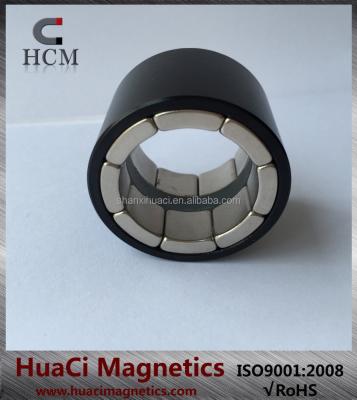 China Motorcycle Permanent Magnet Assembly Source Shutters Neodymium Magnet Motor For Sale for sale