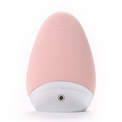 China Deep Cleansing Anti Aging Facial Massager Deep Cleansing Sonic Silicone Facial Cleansing Brush Electric Beauty Care for sale