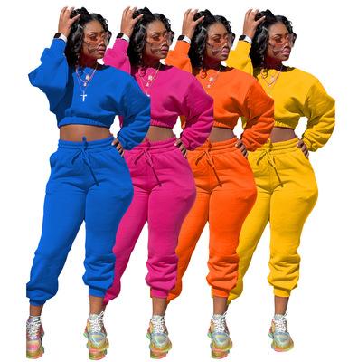 China Casual Jogging Solid Color Fashion Multicolor Active Wear Street Anti-pilling Thick Tracksuits 2 Pieces Sweated Sets Women for sale