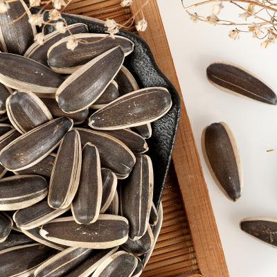 China China dry dry 363 good quality 361 601 good quality cheap fresh sunflower seeds sunflower seeds for sale