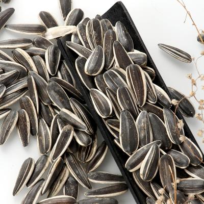 China Long Style Striped Long Style Sunflower Seed Bulk Price Per Ton for sale