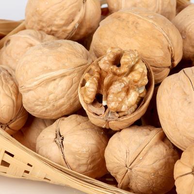 China Dried Walnuts Wholesale Xinjiang High Quality Walnuts Wholesale Various Colors for sale