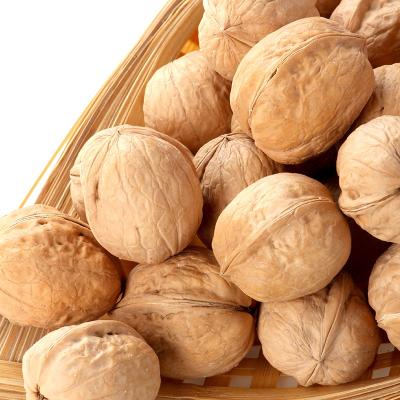 China Dried Walnut Price Supplier 1kg Larger Walnut Price Inshell Walnut Price for sale