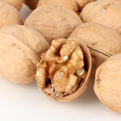 China Good Quality Dried Dried Halves Cheap Walnuts , Walnut Kernel , Walnut Without Shell for sale