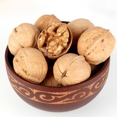 China 2021 XINJIANG NUTS FACTORY DRIED CULTURED NUTS IN SHELL for sale