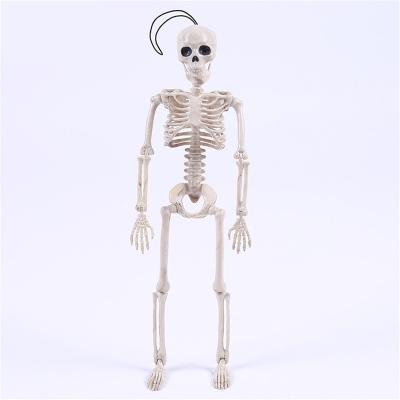 China Movable Body Mini Figure Toy Halloween Skeleton of Mr. Bones Skeleton Art Sketch Human Model Halloween Decoration Full Skull for sale