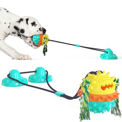 China Stocked 2022 hot mockups 2 suction cups with chew ball for dogs brinquedo dog toy pet products juguetes interactive mascotas for sale