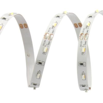 China Chinese Hotel Factory Hot Sale IP 66 68 60Leds 6Mm Led Strip Light Light 3014 for sale