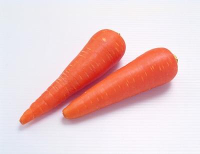 China Chinese New Crop Red Carrot Fresh and clean water washed Carrots Te koop